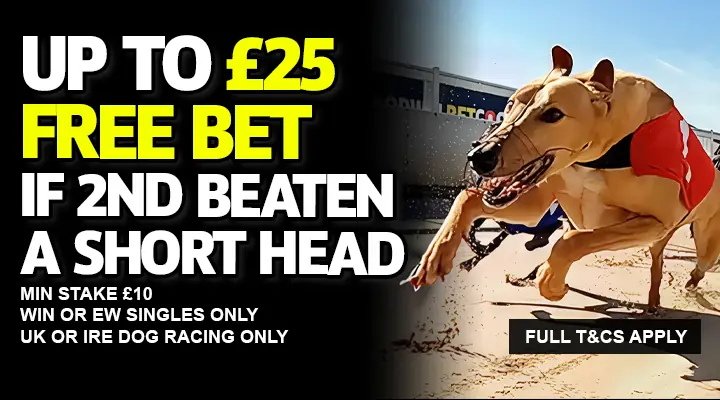 BetGoodwin 25 Free Bet Greyhound 2nd Short Head