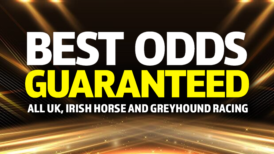 BetGoodwin Best Odds Guaranteed UK Irish racing